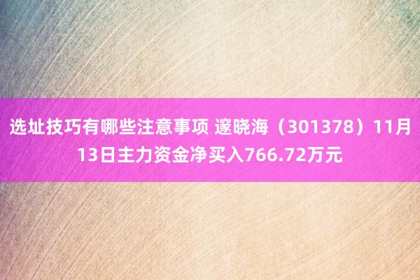 选址技巧有哪些注意事项 邃晓海（301378）11月13日主力资金净买入766.72万元