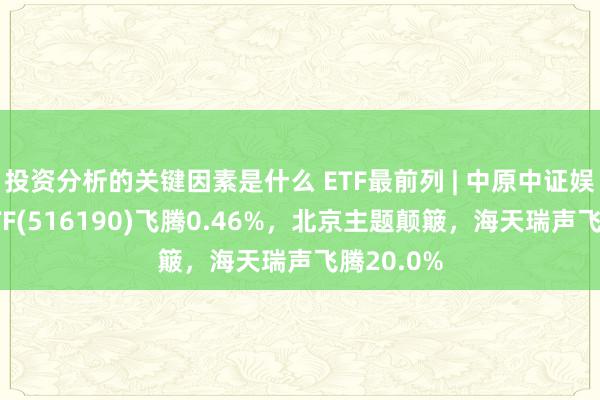 投资分析的关键因素是什么 ETF最前列 | 中原中证娱乐传媒ETF(516190)飞腾0.46%，北京主题颠簸，海天瑞声飞腾20.0%