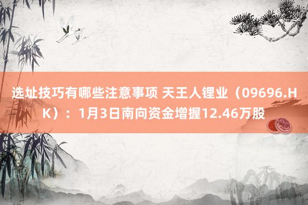 选址技巧有哪些注意事项 天王人锂业（09696.HK）：1月3日南向资金增握12.46万股