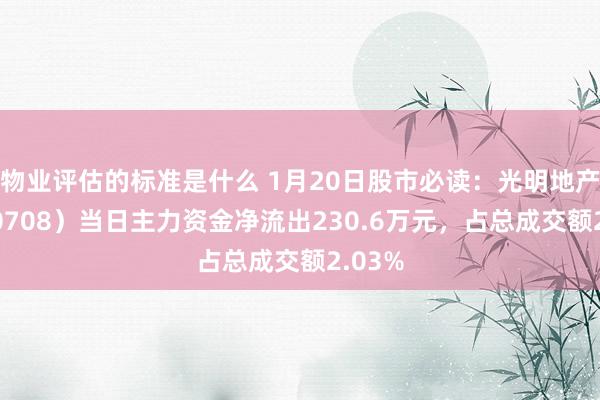 物业评估的标准是什么 1月20日股市必读：光明地产（600708）当日主力资金净流出230.6万元，占总成交额2.03%