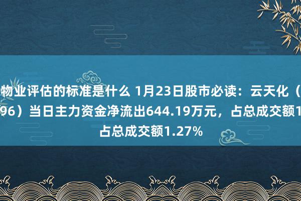 物业评估的标准是什么 1月23日股市必读：云天化（600096）当日主力资金净流出644.19万元，占总成交额1.27%