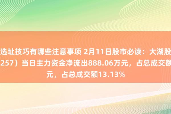 选址技巧有哪些注意事项 2月11日股市必读：大湖股份（600257）当日主力资金净流出888.06万元，占总成交额13.13%