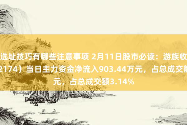 选址技巧有哪些注意事项 2月11日股市必读：游族收罗（002174）当日主力资金净流入903.44万元，占总成交额3.14%