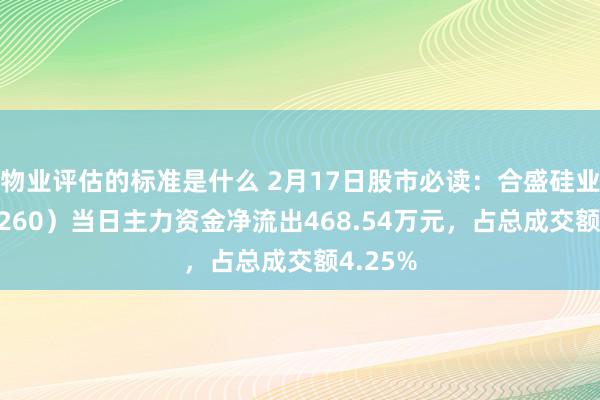 物业评估的标准是什么 2月17日股市必读：合盛硅业（603260）当日主力资金净流出468.54万元，占总成交额4.25%