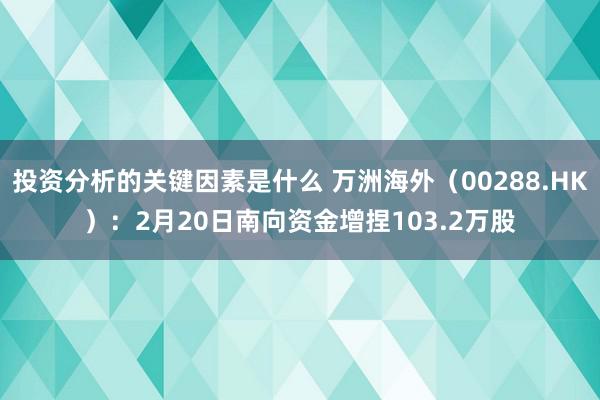 投资分析的关键因素是什么 万洲海外（00288.HK）：2月20日南向资金增捏103.2万股