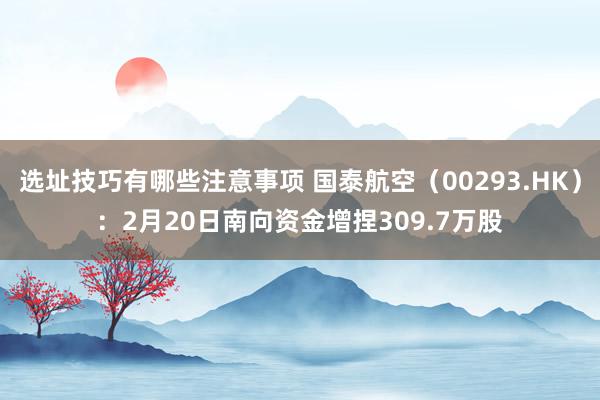 选址技巧有哪些注意事项 国泰航空（00293.HK）：2月20日南向资金增捏309.7万股