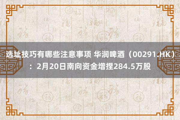 选址技巧有哪些注意事项 华润啤酒（00291.HK）：2月20日南向资金增捏284.5万股