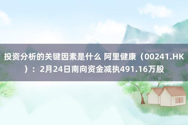 投资分析的关键因素是什么 阿里健康（00241.HK）：2月24日南向资金减执491.16万股