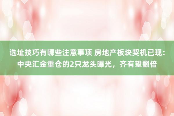 选址技巧有哪些注意事项 房地产板块契机已现：中央汇金重仓的2只龙头曝光，齐有望翻倍