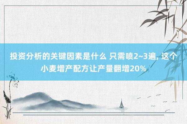 投资分析的关键因素是什么 只需喷2~3遍, 这个小麦增产配方让产量翻增20%