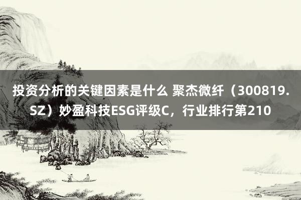 投资分析的关键因素是什么 聚杰微纤（300819.SZ）妙盈科技ESG评级C，行业排行第210