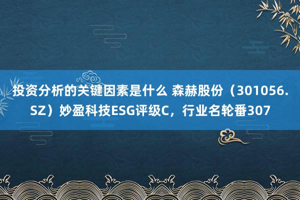 投资分析的关键因素是什么 森赫股份（301056.SZ）妙盈科技ESG评级C，行业名轮番307