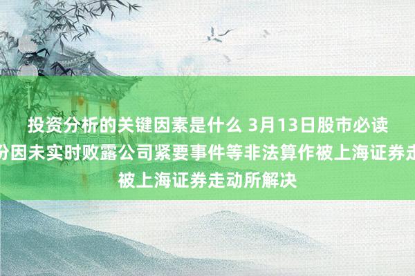 投资分析的关键因素是什么 3月13日股市必读：永吉股份因未实时败露公司紧要事件等非法算作被上海证券走动所解决