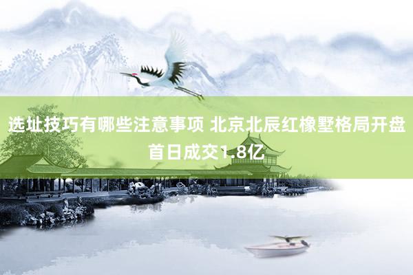 选址技巧有哪些注意事项 北京北辰红橡墅格局开盘首日成交1.8亿