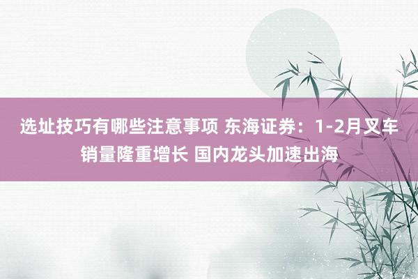 选址技巧有哪些注意事项 东海证券：1-2月叉车销量隆重增长 国内龙头加速出海